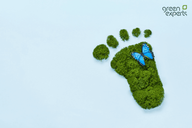 Kategorie Nachhaltigkeitsbewertung und Lebenszyklusanalyse Bild