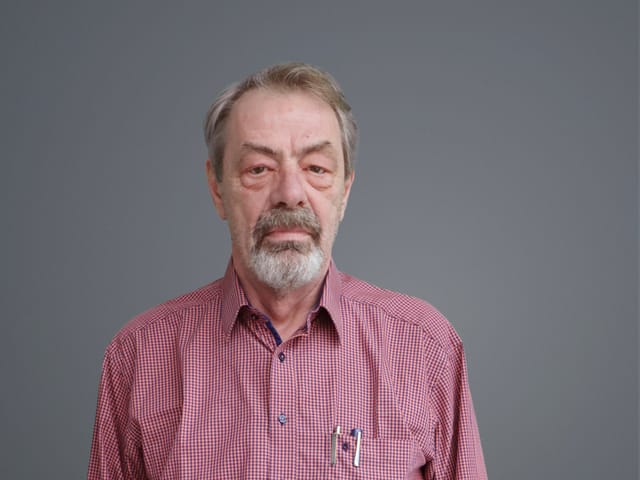 Experte Helmut Horn Bild